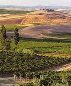 Weine aus Italien