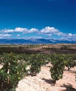 Weine aus Spanien