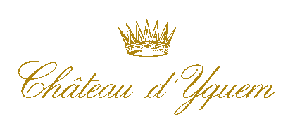 Yquem logo - Wein.Depot Noitz