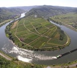 Weine aus Deutschland