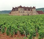 Weine aus Frankreich