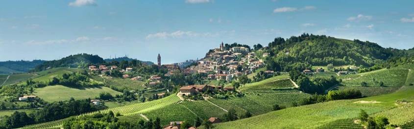 monforte - Wein.Depot Noitz
