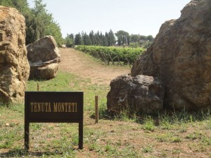 Tenuta Monteti                       